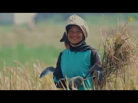 Dari CKG Hingga Hilirisasi, Program dan Capaian Pemerintah Kuartal II-2025