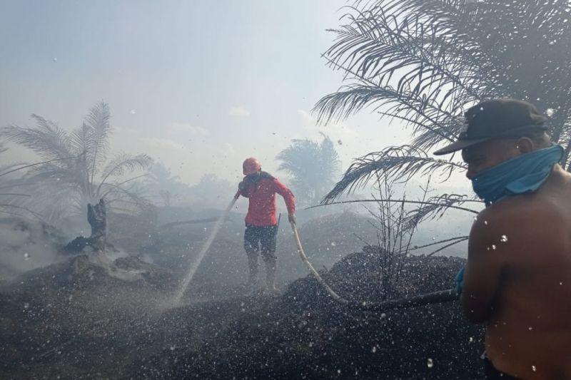 Polda Riau Proses Sembilan Tersangka Kasus Karhutla 1.060,85 Hektare di Riau