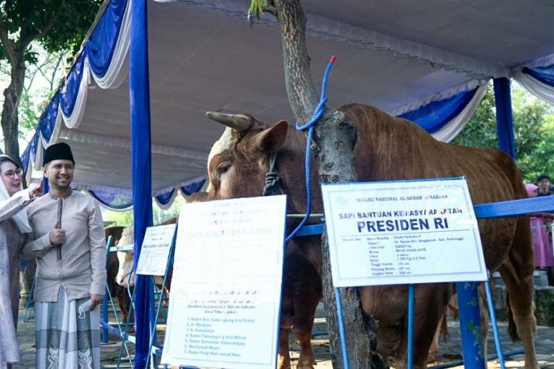 Plt Gubernur Jatim Serahkan Sapi Kurban Presiden ke Masjid Al Akbar