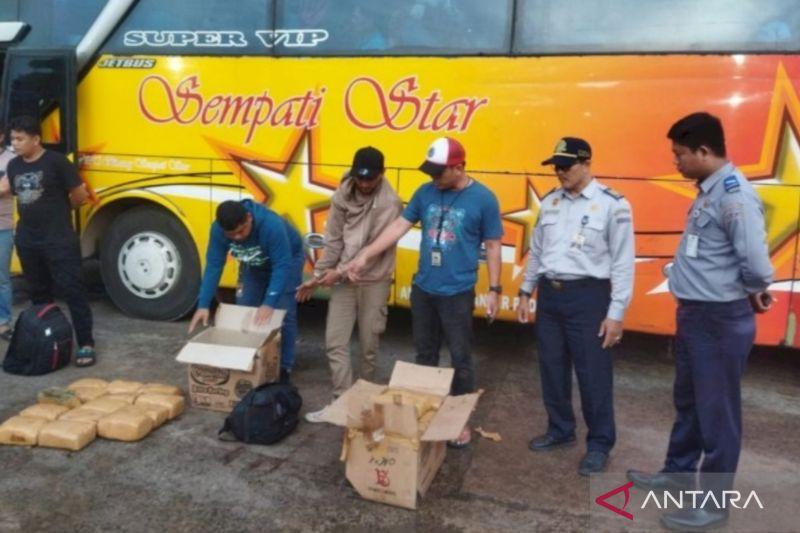 Polisi Gagalkan Penyelundupan 30 Kg Ganja di Palembang