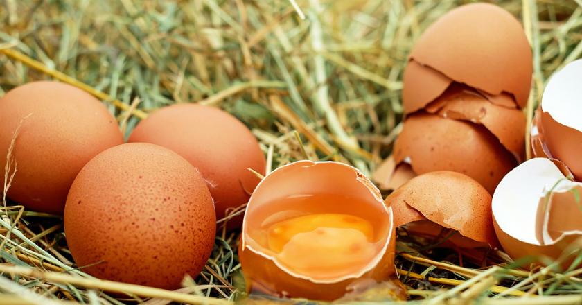 Amankah Turunkan Berat Badan dengan Diet Telur?