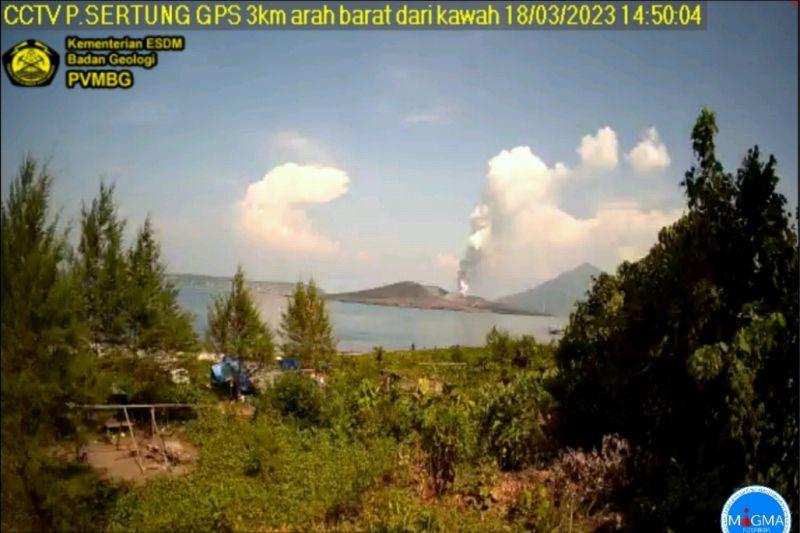 Gunung Anak Krakatau Semburkan Abu Vulkanik Setinggi 500 Meter
