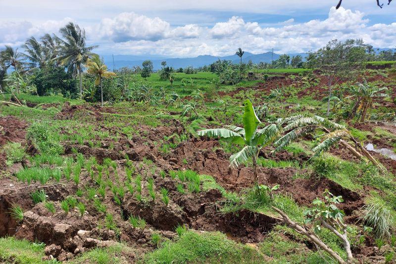 Komisi X DPR Dorong Kurikulum Bencana Masuk RUU Sisdiknas