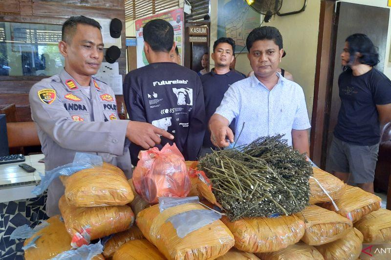 Ganja 36 Kg di Perpustakaan SD Sumbar Ternyata Ulah Penjaga Sekolah