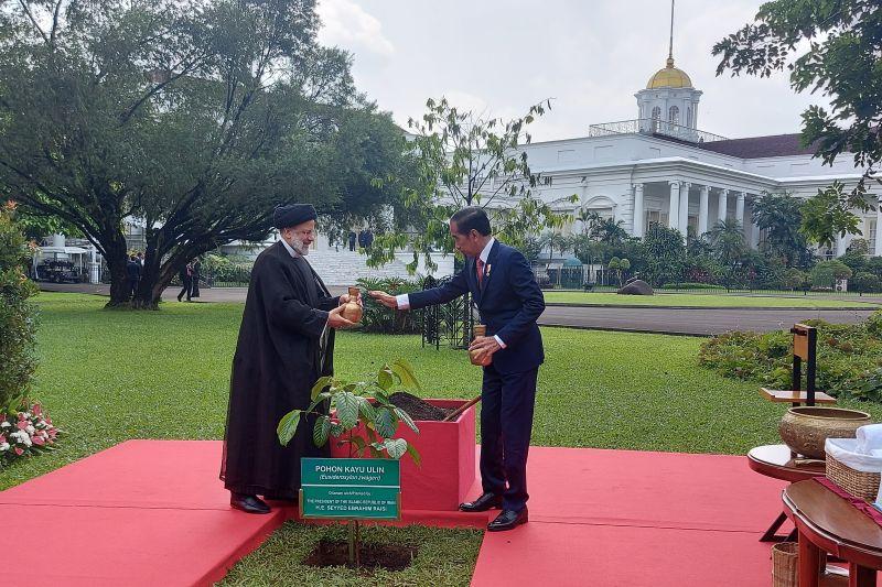Pertemuan Jokowi dan Presiden Iran akan Sepakati 10 Kerja Sama