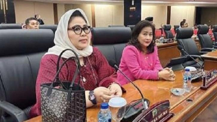 Keyakinan PDIP soal Kasus Cinta Mega tak Pengaruhi Elektabilitas Partai