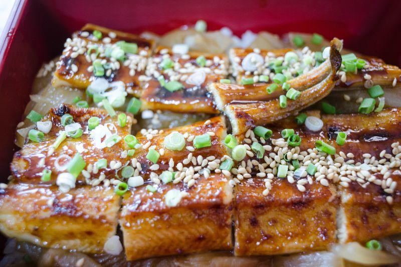 Bisa Gantikan Salmon, Ikan Sidat Mengandung Protein dan Nutrisi Lebih Baik