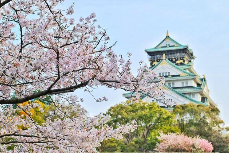 ABG di Jepang Meninggal Dunia, Diduga Karena Heartstroke