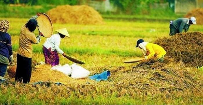 Ekonom Kritik Bacapres Tak Pernah Singgung Kebijakan Ekonomi Nasional