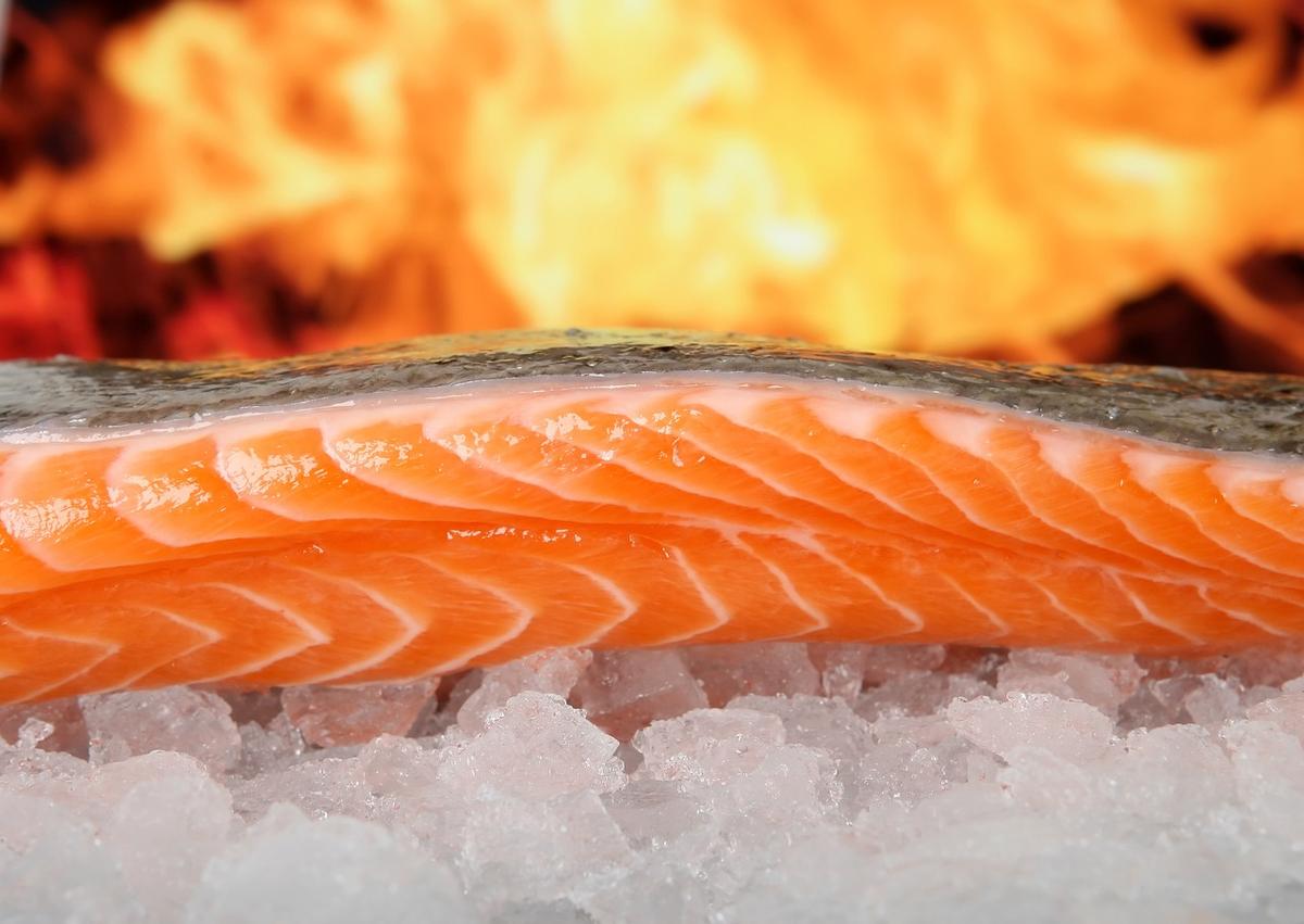 Ketahui Pentingnya Asupan Omega 3 dan 6 untuk Tumbuh Kembang Anak