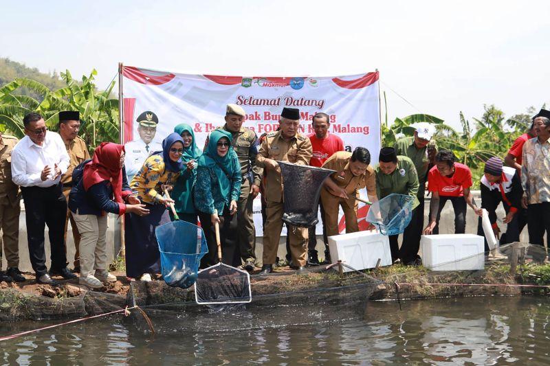 Potensi Budidaya Ikan Air Tawar di Kabupaten Malang Janjikan Cuan