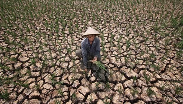 Komisi IV Minta Kementan Mitigasi Ancaman El Nino