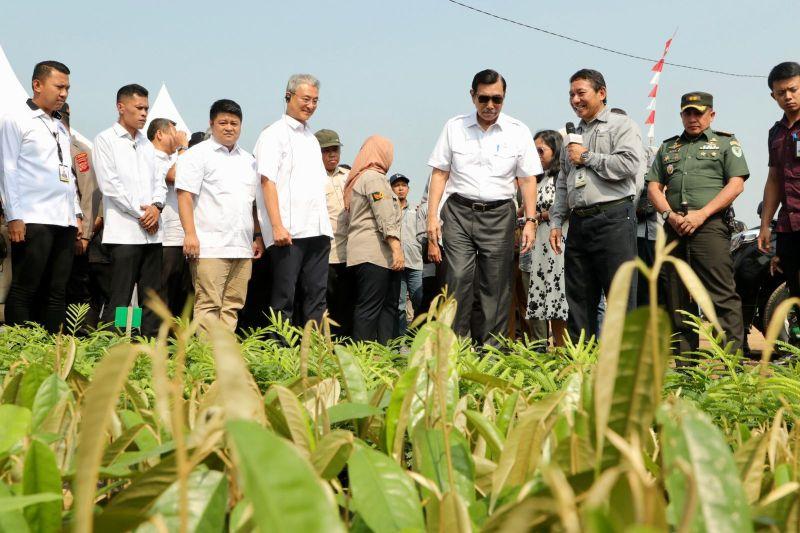 Atasi Deforestasi dan Sampah, Luhut Sesumbar Ambil Langkah Terpadu