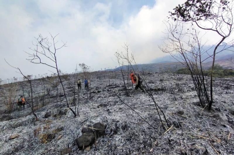 Api di Gunung Arjuno Makin Meluas, Pemadaman Terkendala Ketinggian dan Angin