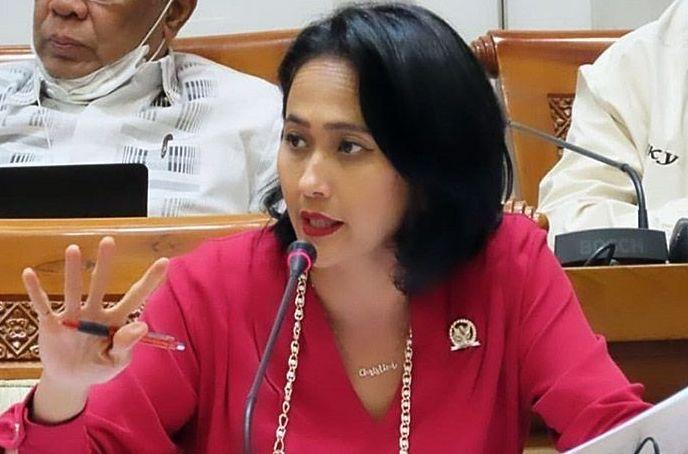 Anggota DPR Sesalkan dan Kutuk Keras Aksi KKB Bunuh Aktivis Perempuan Papua