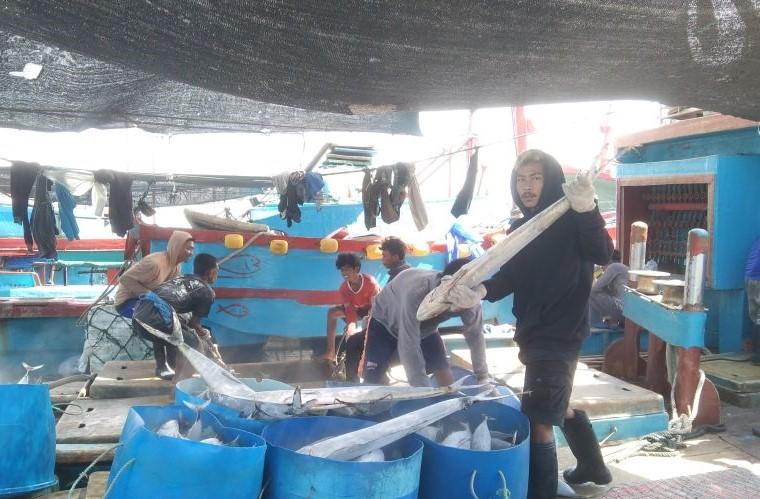 Ekspor Ikan Tuna, Bali Raup Rp502,2 Miliar di Semester I 2023