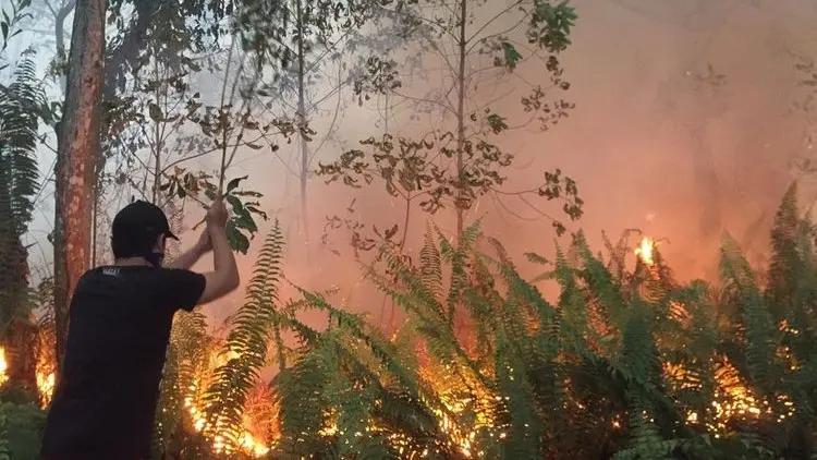 Kacau! Karhutla Gunung Arjuno Total Ada 4.859 Hektar Lahan Terbakar