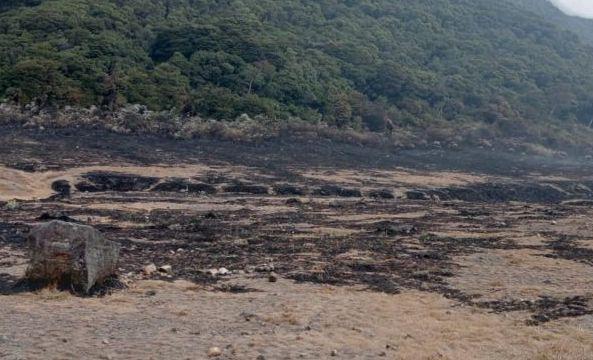 TNGGP: 29 Ribu Meter Persegi Lahan Gunung Gede Hangus Terbakar