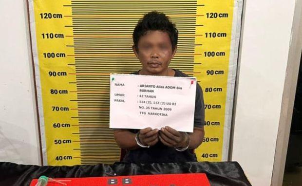 Ngumpet di Kebun Karet, Pria Jambi DPO Narkoba Ditangkap