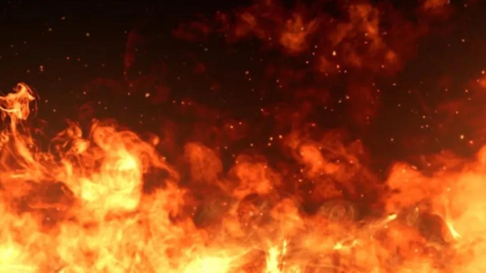 700 Turis Dievakuasi dan 2 Orang Tewas Akibat Kebakaran Hutan di Italia