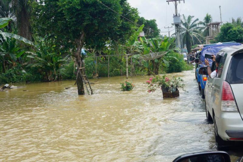 Di Pasaman Barat, 430 Hektare Lahan Pertanian Terdampak Banjir