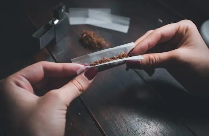 PM Thailand Serukan Aturan Ganja, Pendukung Khawatir