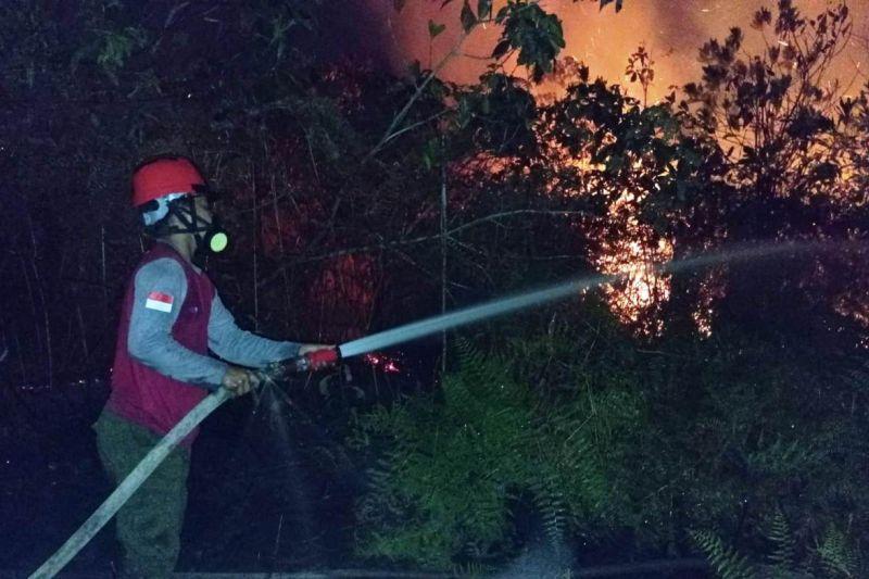 100 Titik Panas Terdeteksi di Kalimantan Timur