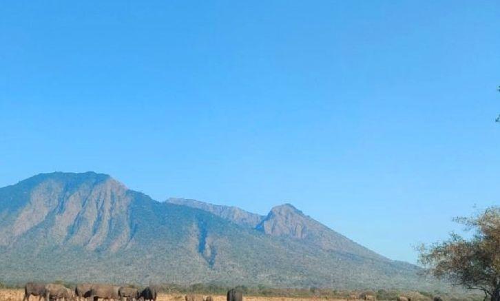 Sempat Ditutup, Wisata Taman Nasional Baluran Situbondo Dibuka Kembali