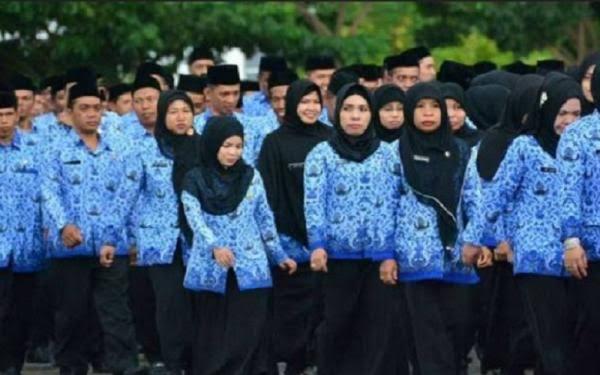 UU ASN Berlaku, Instansi Pemerintah Tak Boleh Rekrut Honorer
