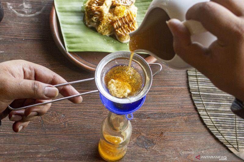 Jaga Kesehatan di Tengah Cuaca Panas dengan Konsumsi Madu Hutan