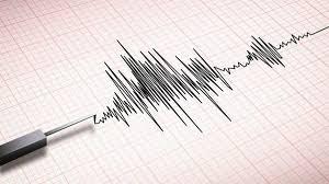 Gempa 7,1 M Guncang Keerom Papua