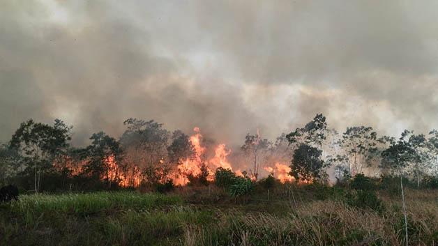 BMKG Catat 1.970 Hotspot di Sumatera, Terbanyak Sumsel