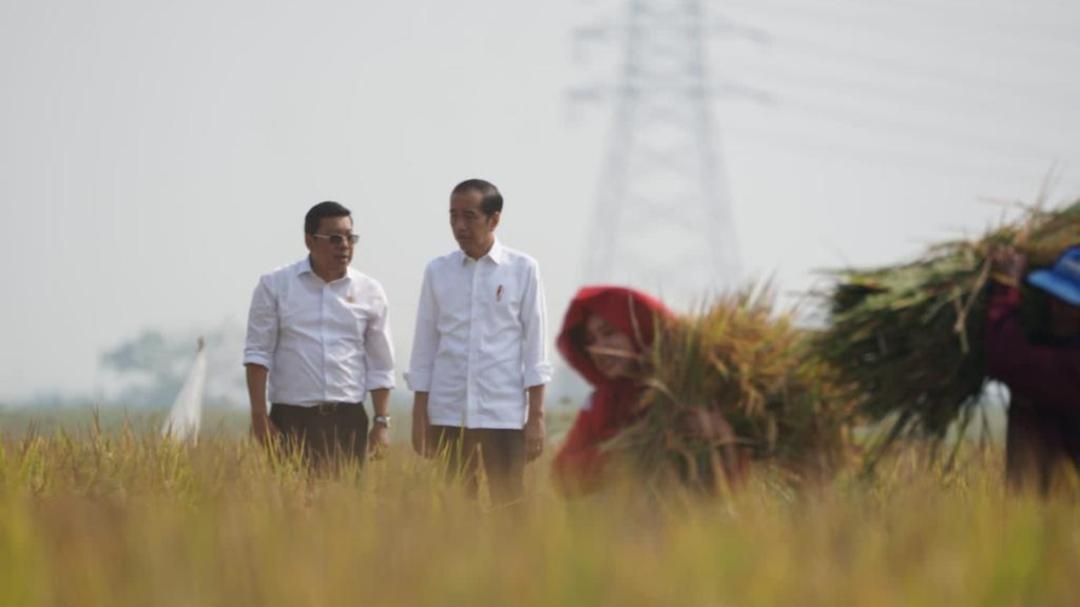 Gerak Cepat Amankan Produksi, Plt Mentan Dampingi Presiden Panen Padi di Sukamandi