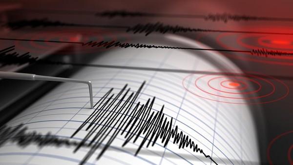 120 Orang Tewas Akibat Gempa Magnitudo 6,3 di Afghanistan