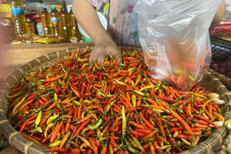 Harga Cabai Rawit di Gorontalo Utara Makin Pedas Rp100 Ribu per Kg