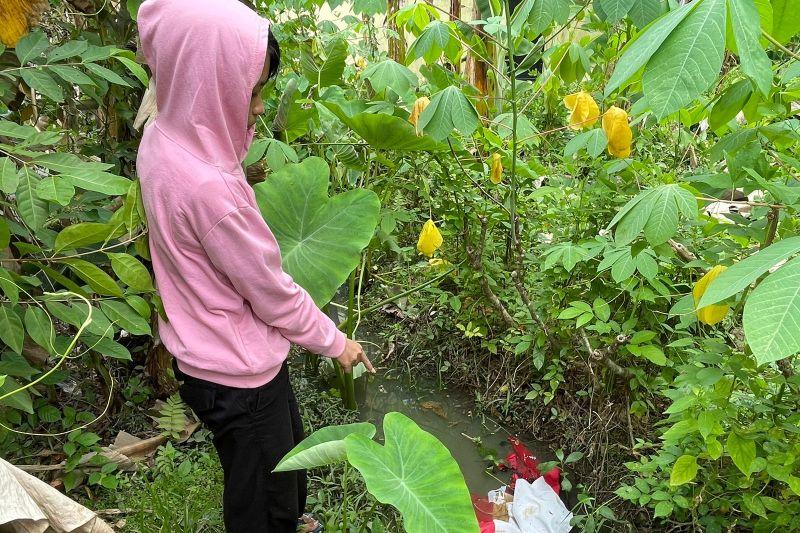 Polisi Periksa Perempuan Bakar Bendera Merah Putih di Pontianak