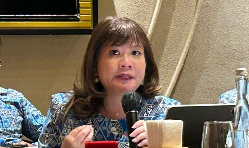 Apindo Berharap Capres-Cawapres Hadirkan Strategi Ekonomi Inklusif
