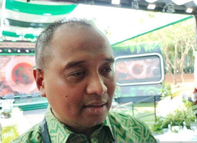 PLN Segera Bangun Pembangkit Listrik Tenaga Surya 50 Megawatt di IKN