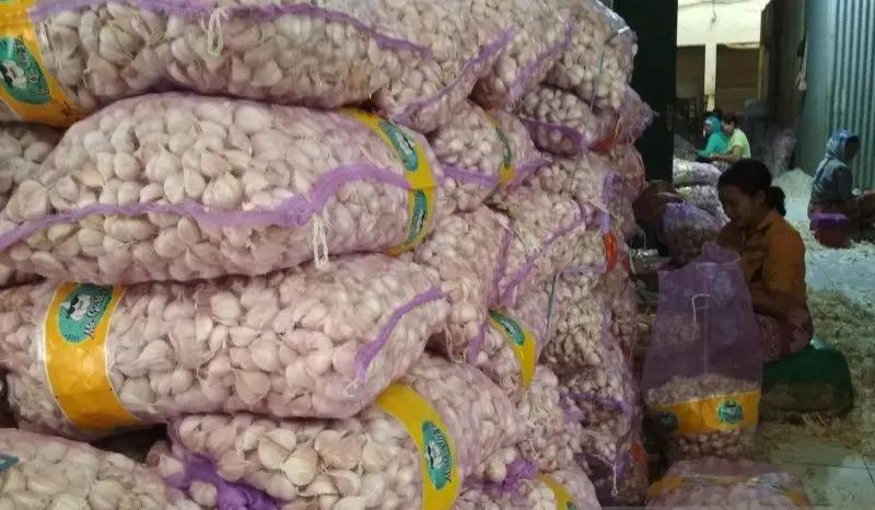 Pemerintah akan Benahi Penerbitan Surat Persetujuan Impor Bawang Putih