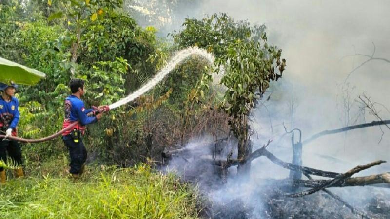Waduh! Ada 298 Titik Panas di Kaltim, Termasuk IKN?