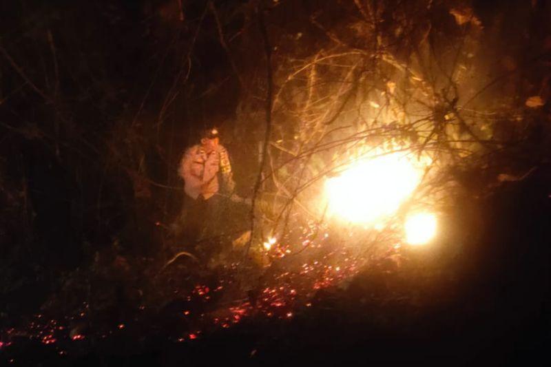 Polisi Selidiki Penyebab Kebakaran Lahan di Lombok Tengah
