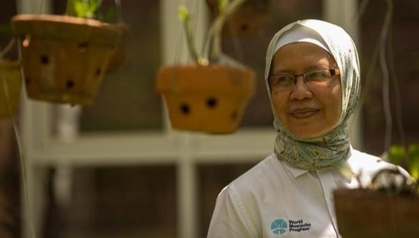 Ternyata Ada Peran Orang Indonesia di Balik Nyamuk Wolbachia yang Didanai Bill Gates