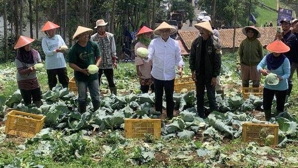 Kampanye Hari ke-2, Anies Datangi Petani Holtikultuta di Pengalengan: Bapak Apa yang Dipengeni?
