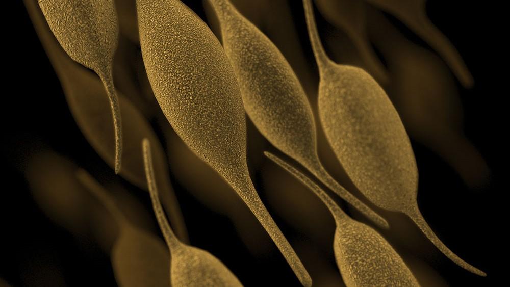 3 Anak di Jakarta Alami Mycoplasma Pneumonia Diduga gegara Polusi Udara