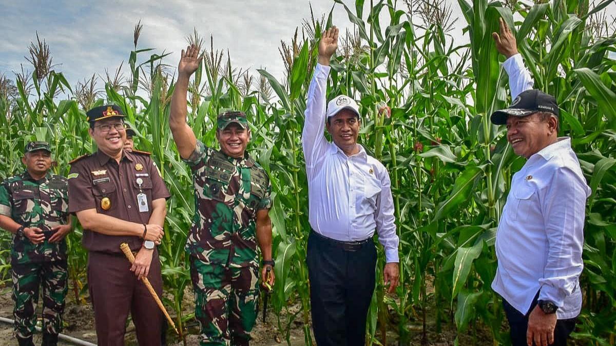 Kunjungi Gunung Mas, Mentan-Wamenhan Pastikan Food Estate Berjalan Baik