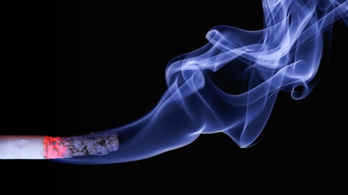 Bea Cukai Malang Lakukan Penindakan Puluhan Ribu Batang Rokok Ilegal