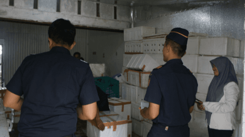 Bea Cukai Kawal Ekspor Perdana Kerang dari Banda Aceh