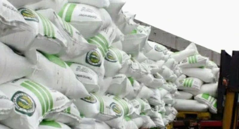 Pengurangan Kuota Pupuk Subsidi Resahkan Petani Karawang