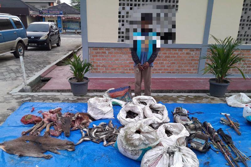 Warga Lampung Ditangkap gegara Berburu Rusa di Taman Nasional Way Kambas