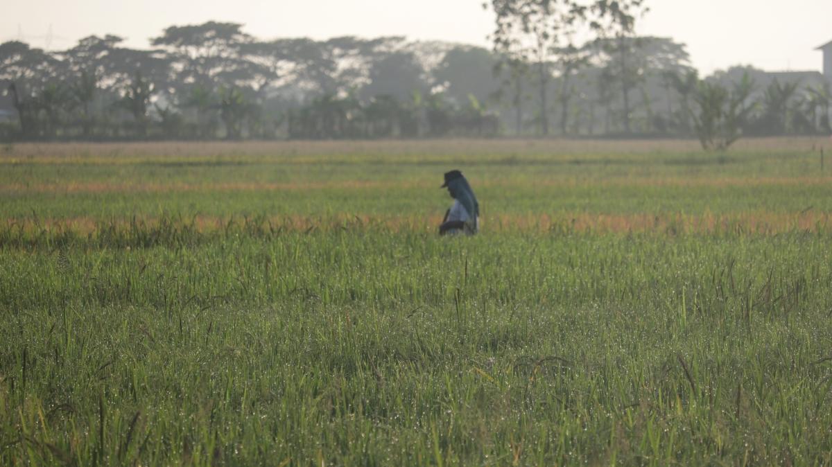 Komisi IV DPR Soroti Tajam Keberpihakan Terhadap Nasib Petani